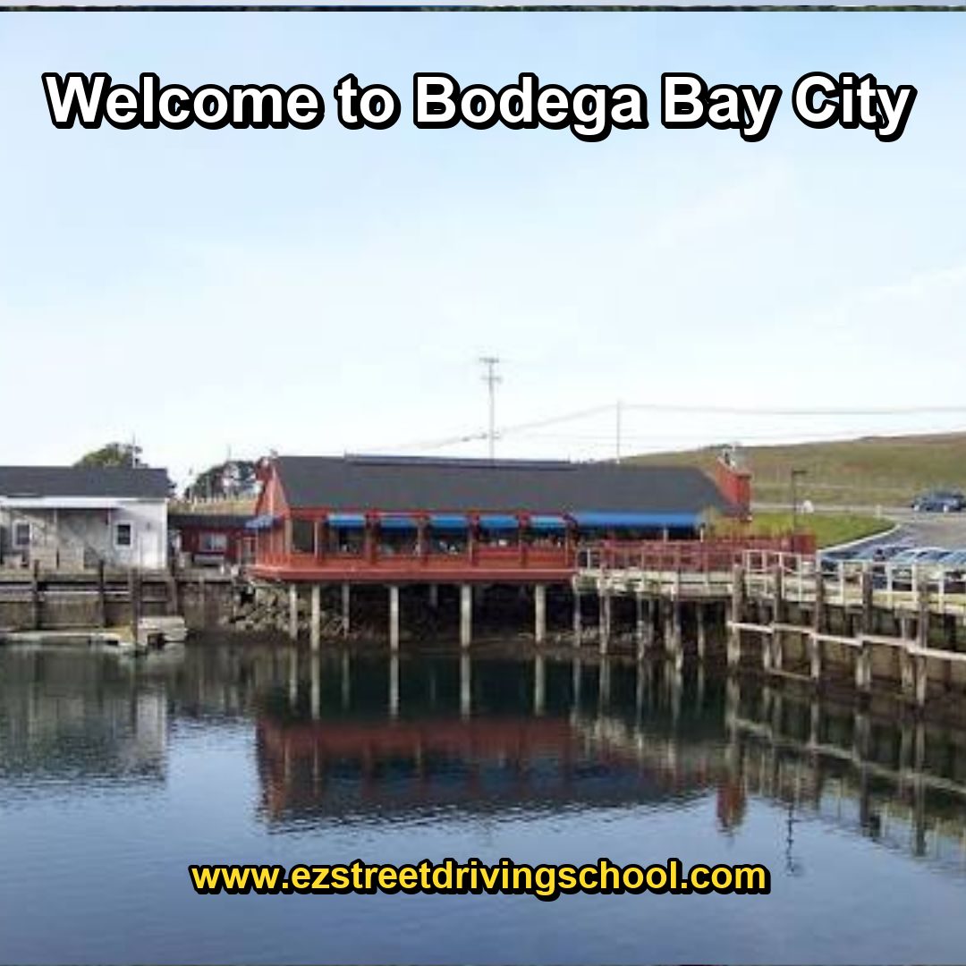 Driving Lessons in Bodega Bay
